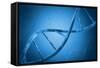 Conceptual Image of Dna-null-Framed Stretched Canvas