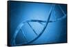 Conceptual Image of Dna-null-Framed Stretched Canvas