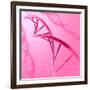 Conceptual Image of Dna-null-Framed Art Print