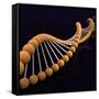 Conceptual Image of Dna-null-Framed Stretched Canvas