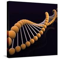 Conceptual Image of Dna-null-Stretched Canvas