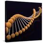 Conceptual Image of Dna-null-Stretched Canvas