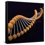 Conceptual Image of Dna-null-Framed Stretched Canvas