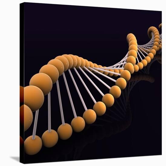 Conceptual Image of Dna-null-Stretched Canvas