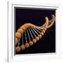 Conceptual Image of Dna-null-Framed Art Print