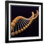 Conceptual Image of Dna-null-Framed Art Print