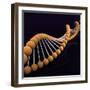 Conceptual Image of Dna-null-Framed Art Print