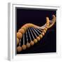 Conceptual Image of Dna-null-Framed Art Print