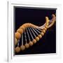 Conceptual Image of Dna-null-Framed Art Print