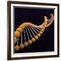 Conceptual Image of Dna-null-Framed Art Print