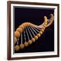 Conceptual Image of Dna-null-Framed Art Print