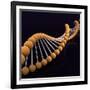 Conceptual Image of Dna-null-Framed Art Print