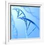 Conceptual Image of Dna-null-Framed Art Print