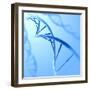 Conceptual Image of Dna-null-Framed Art Print