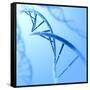 Conceptual Image of Dna-null-Framed Stretched Canvas