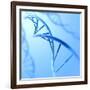 Conceptual Image of Dna-null-Framed Art Print