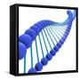 Conceptual Image of Dna-null-Framed Stretched Canvas