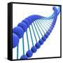 Conceptual Image of Dna-null-Framed Stretched Canvas