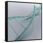 Conceptual Image of Dna-null-Framed Stretched Canvas