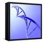 Conceptual Image of Dna-null-Framed Stretched Canvas