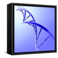 Conceptual Image of Dna-null-Framed Stretched Canvas