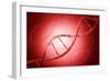 Conceptual Image of Dna-null-Framed Premium Giclee Print