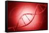 Conceptual Image of Dna-null-Framed Stretched Canvas