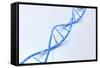 Conceptual Image of Dna-null-Framed Stretched Canvas