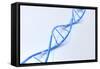 Conceptual Image of Dna-null-Framed Stretched Canvas