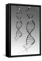 Conceptual Image of Dna-null-Framed Stretched Canvas