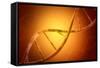 Conceptual Image of Dna-null-Framed Stretched Canvas