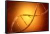 Conceptual Image of Dna-null-Framed Stretched Canvas