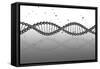 Conceptual Image of Dna-null-Framed Stretched Canvas