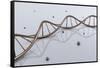 Conceptual Image of Dna-null-Framed Stretched Canvas