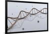 Conceptual Image of Dna-null-Framed Art Print