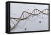 Conceptual Image of Dna-null-Framed Stretched Canvas