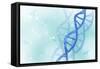 Conceptual Image of Dna-null-Framed Stretched Canvas