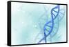 Conceptual Image of Dna-null-Framed Stretched Canvas