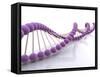 Conceptual Image of Dna-null-Framed Stretched Canvas