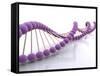 Conceptual Image of Dna-null-Framed Stretched Canvas