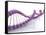 Conceptual Image of Dna-null-Framed Stretched Canvas