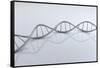 Conceptual Image of Dna-null-Framed Stretched Canvas