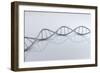 Conceptual Image of Dna-null-Framed Premium Giclee Print