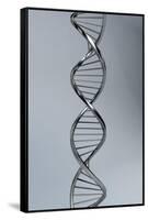 Conceptual Image of Dna-null-Framed Stretched Canvas