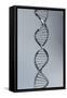 Conceptual Image of Dna-null-Framed Stretched Canvas