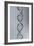 Conceptual Image of Dna-null-Framed Art Print