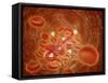 Conceptual Image of Ebola Virus in Artery-null-Framed Stretched Canvas