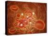 Conceptual Image of Ebola Virus in Artery-null-Stretched Canvas