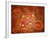 Conceptual Image of Ebola Virus in Artery-null-Framed Art Print