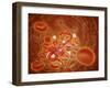 Conceptual Image of Ebola Virus in Artery-null-Framed Art Print